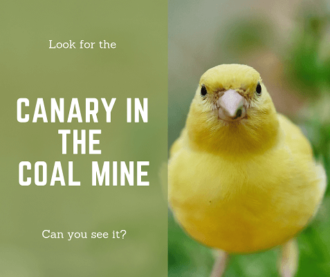 Canary In The Coal Mine の意味 使い方 Artisanenglish Jp