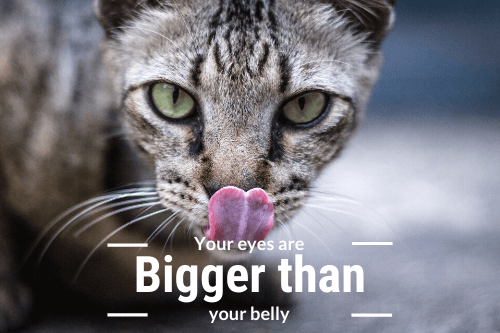 Eyes Bigger Than Your Belly の意味 使い方 Artisanenglish Jp 英会話