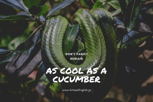 As Cool As A Cucumber の意味 使い方 Artisanenglish Jp 英会話